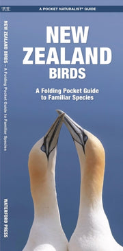 New Zealand Birds By Kavanagh/leung