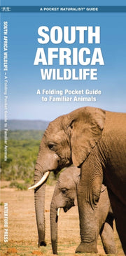 South Africa Wildlife By Kavanagh, James