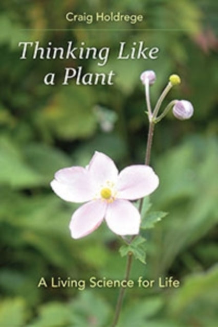 Thinking Like A Plant