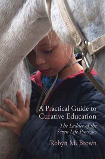 Practical Guide To Curative Education