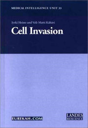 Cell Invasion By Heino