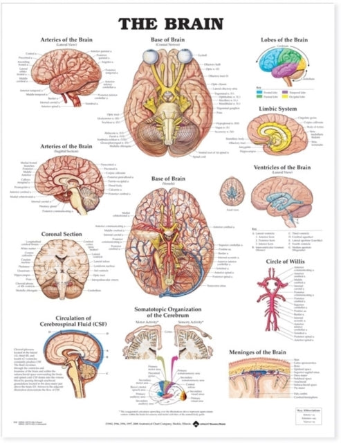 Brain Pu