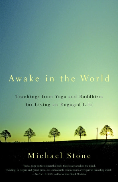 Awake In The World