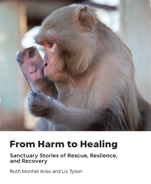 From Harm To Healing