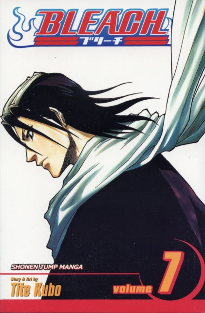 Bleach 7