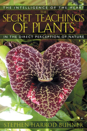 Secret Teachings Of Plants