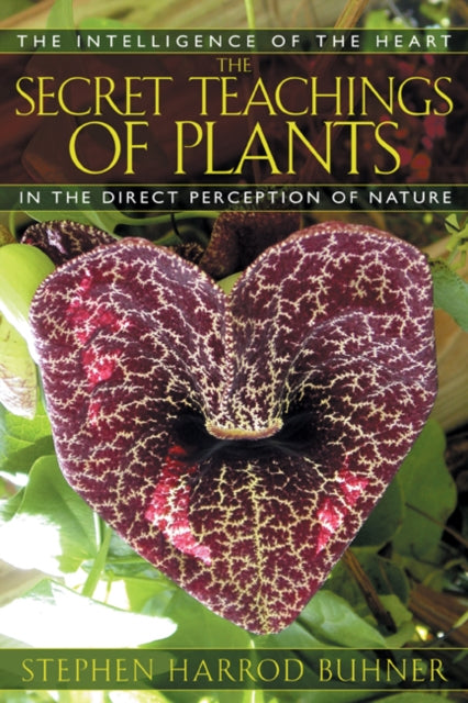 Secret Teachings Of Plants