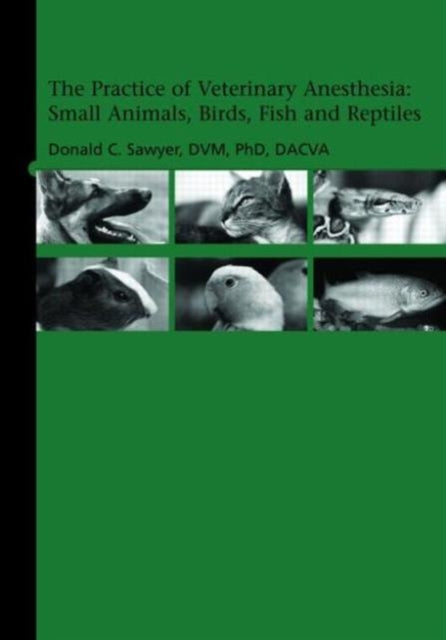 Practice Veterinary Anethesia Small