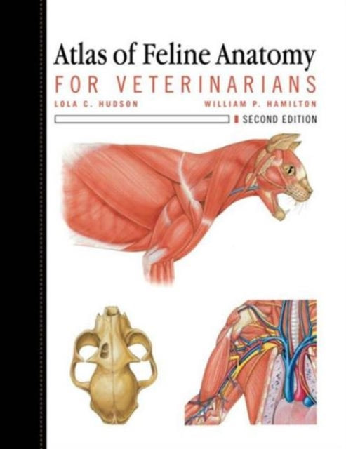 Atlas Of Feline Anatomy For Veterin By Hudson