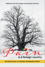 Pain Is A Foreign Country