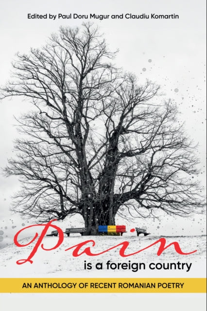 Pain Is A Foreign Country