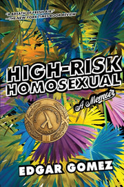 High Risk Homosexual A Memoir
