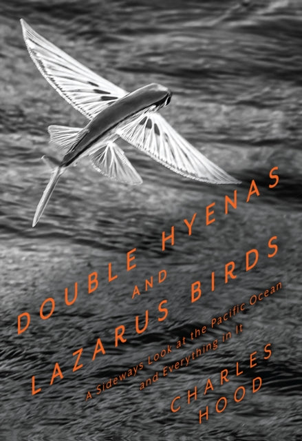 Double Hyenas And Lazarus Birds