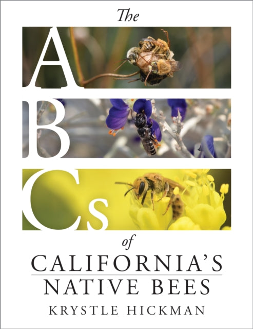 Abcs Of Californias Native Bees