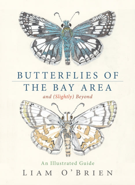 Butterflies Of The Bay Area And Slight By Liam O'brien