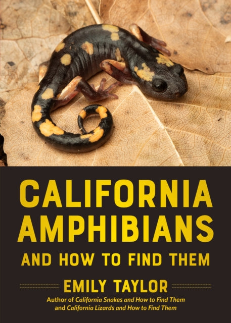 California Amphibians And How To Find T By Emily Taylor