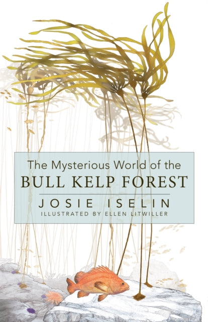 Mysterious World Of The Bull Kelp Fores By Josie Iselin