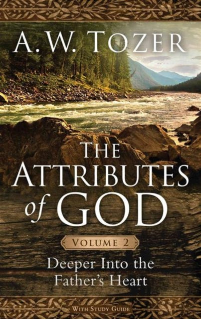 Attributes Of God Volume 2 The