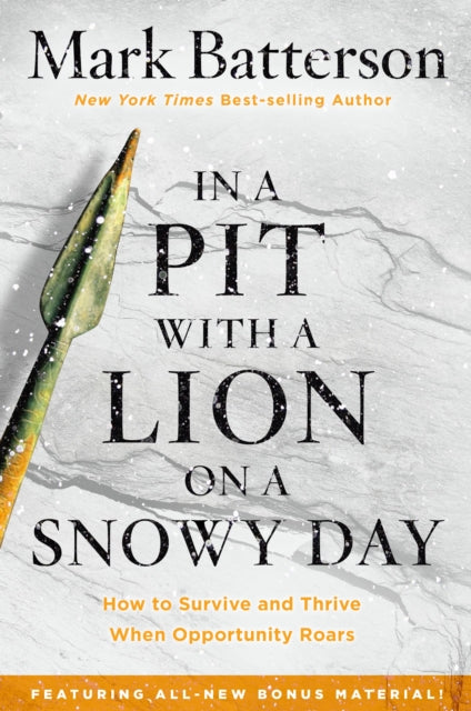 In A Pit With A Lion On A Snowy Day