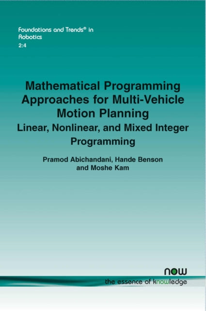 Mathematical Programming Approaches For