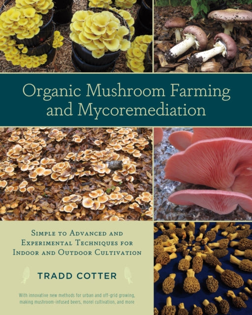 Organic Mushroom Farming & Mycoremediati
