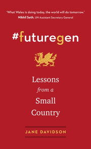 Futuregen Lessons From A Small Country