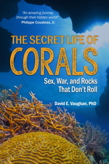 Secret Life Of Corals