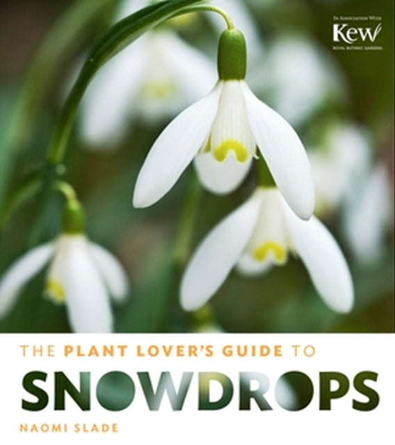 Plant Lovers Guide To Snowdrops