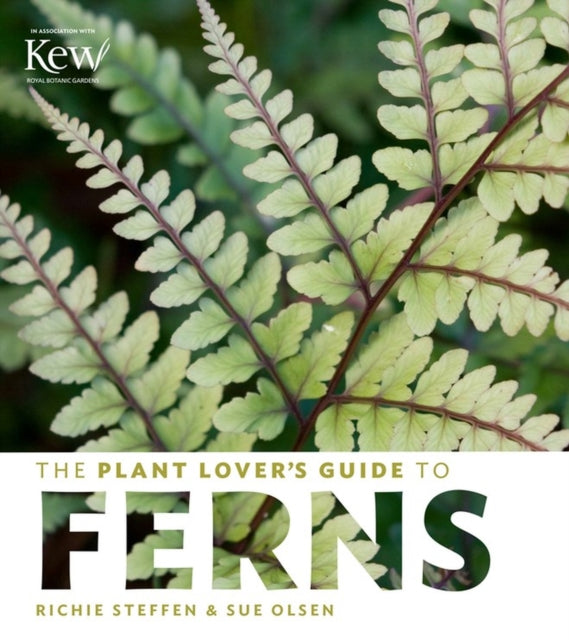 Plant Lovers Guide To Ferns