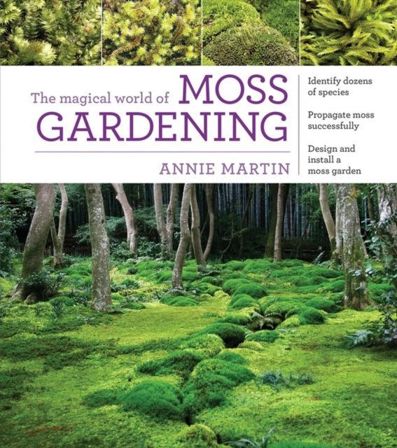 Moss Gardening