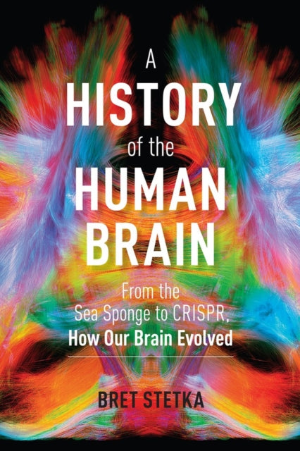 History Of The Human Brain A By Stetka, Bret