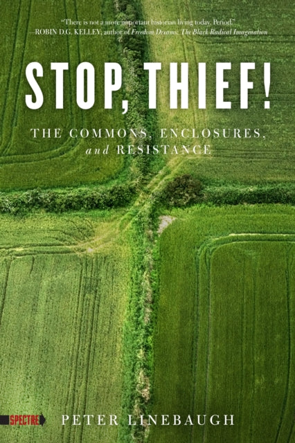 Stop Thief