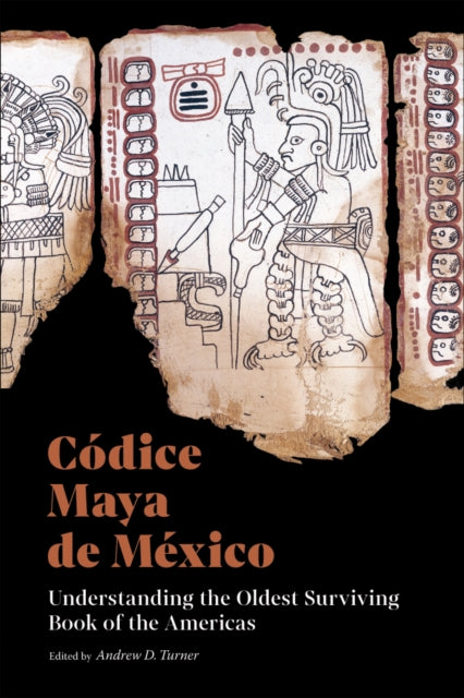 Codice Maya De Mexico