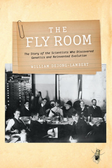 Fly Room By Lambert, William Dej
