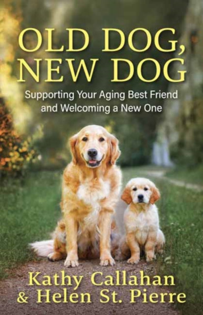 Old Dog New Dog