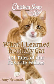 What I Learned From My Cat