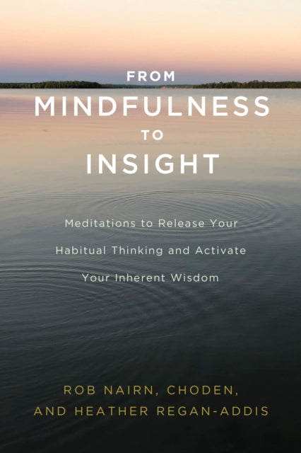 From Mindfulness To Insight