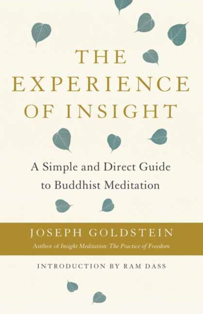 Experience Of Insight