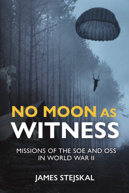 No Moon As Witness