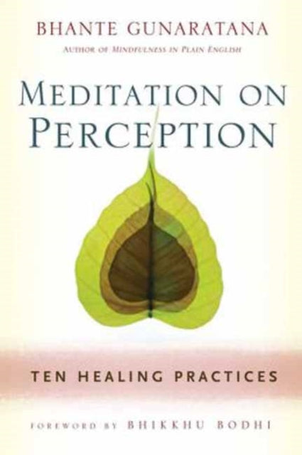 Meditation On Perception