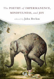 Poetry Of Impermanence Mindfulness & Joy