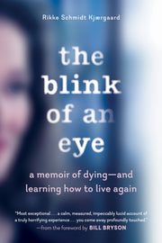 Blink Of An Eye By Schmidt Kj  Rgaard,
