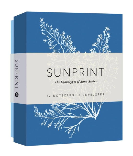 Sunprint Notecards By Atkins,anna