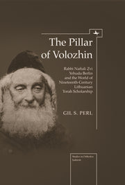 The Pillar Of Volozhin: Rabbi Naftali Zv By Perl S., Gil