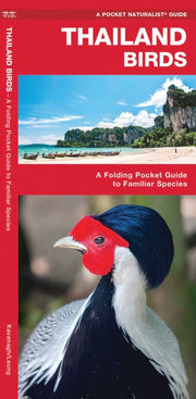 Thailand Birds By Kavanagh James