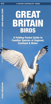 Great Britain Birds 2e By Kavanagh, James