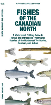 Fishes Of The Canadian North By Morris, Matthew