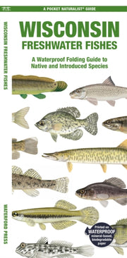 Wisconsin Freshwater Fishes By Waterford Press