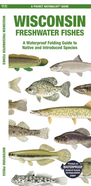 Wisconsin Freshwater Fishes By Waterford Press