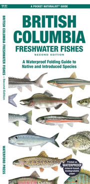 British Columbia Fishes By Morris, Matthew